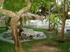 Mediterranee Hotel 